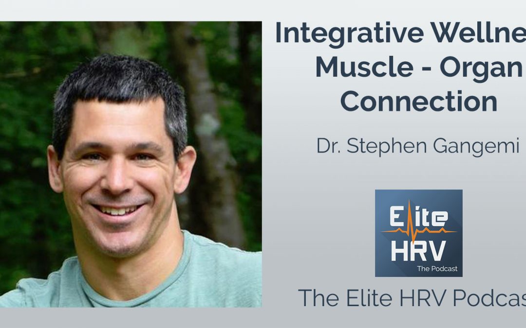 Integrative Wellness, Muscle-Organ Connection with Dr. Stephen Gangemi