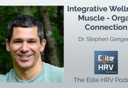 Integrative Wellness, Muscle-Organ Connection with Dr. Stephen Gangemi