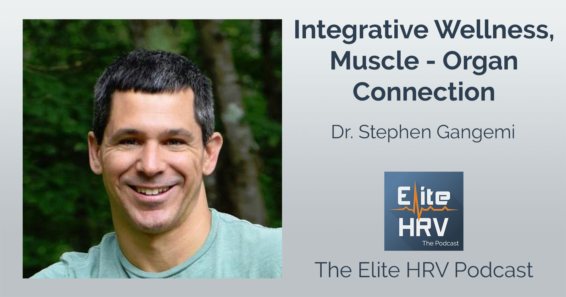 Integrative Wellness, Muscle-Organ Connection with Dr. Stephen Gangemi