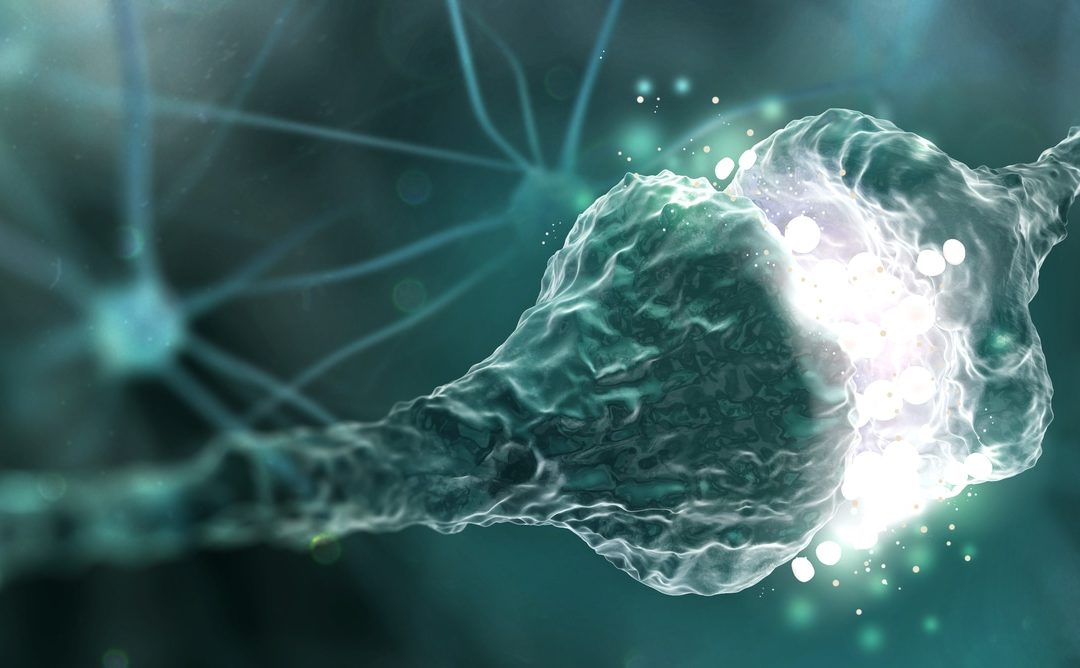 From decapitation to positive psychology: how one nerve connects body, brain and mind
