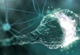 From decapitation to positive psychology: how one nerve connects body, brain and mind